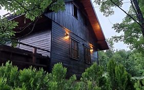 House Poljana